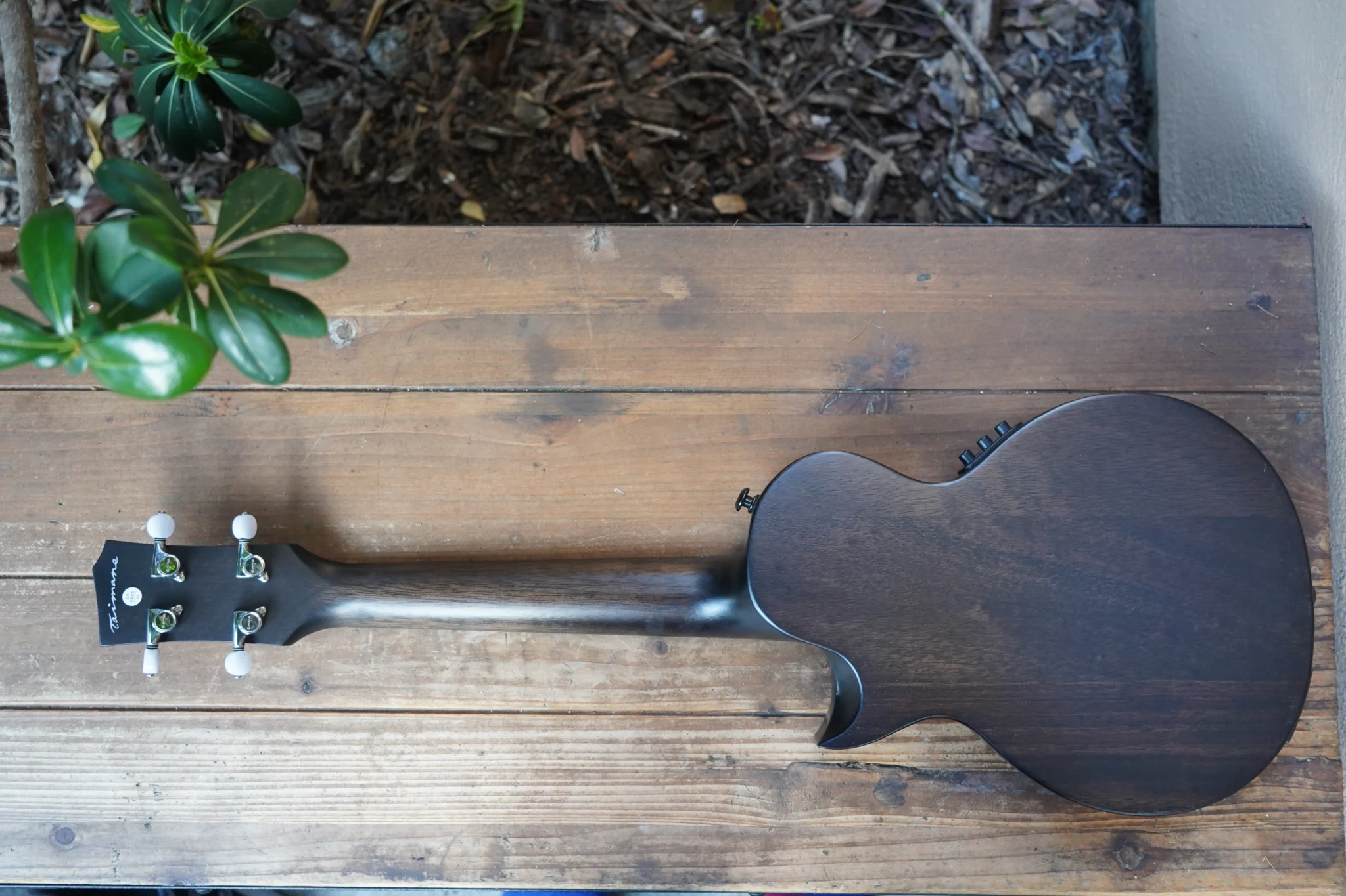 Enya Taimane Moon Ukulele back with Taimane signature
