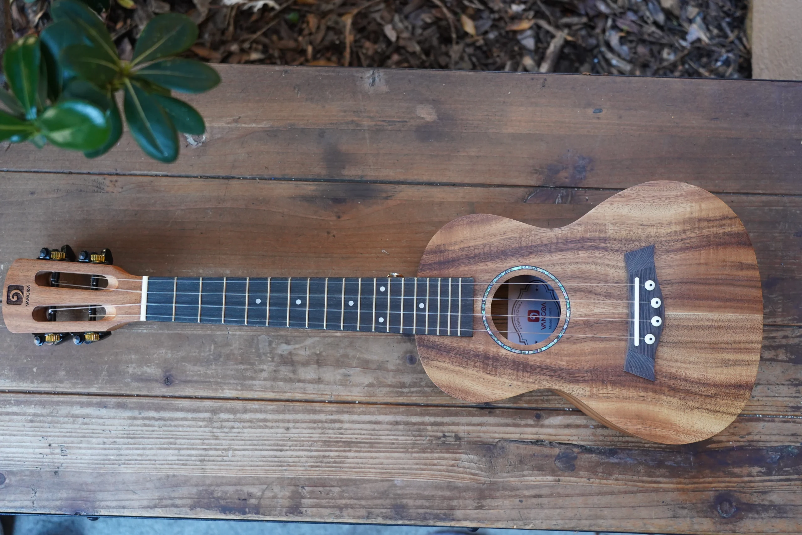 Vangoa Mahogany Concert Ukulele