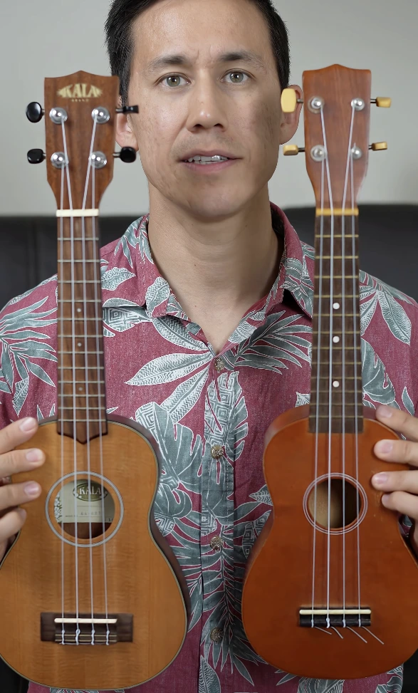Side by side comparison 10 dollar vs 200 dollar ukulele soprano