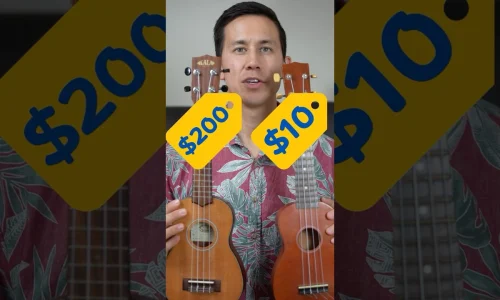 $10 vs $200 Dollar Ray's Ukulele Review