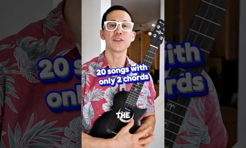 20 Songs with 2 Ukulele Chords