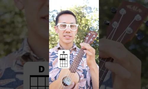 D Chord Ukulele Ray's Ukulele Shorts