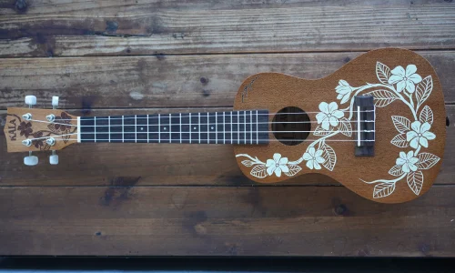 Kala Gardenia Mahogany Concert (KA-GARDENIA-C) Ukulele