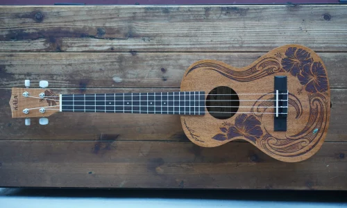 Kala Unity Mahogany Tenor Ukulele Review
