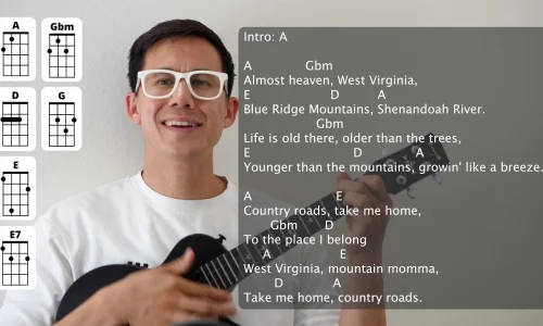 Take Me Home, Country Roads by John Denver