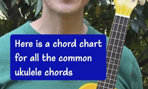 Ukulele Chord Chart Shorts