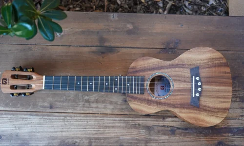 Vangoa Concert Ukulele Review Front